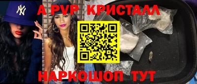 шишки Новодвинск