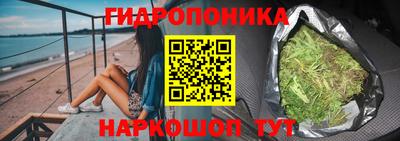 шишки Новодвинск