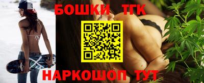 шишки Новодвинск