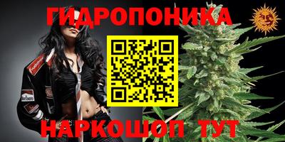 молекула духа Новозыбков
