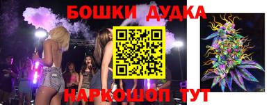 шишки Новодвинск