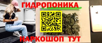 прущие крисы Новокубанск