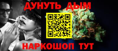 шишки Новодвинск