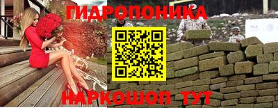 молекула духа Новозыбков