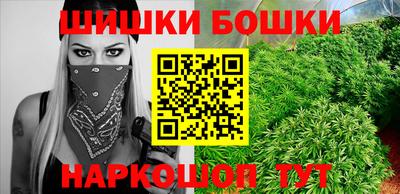 молекула духа Новозыбков