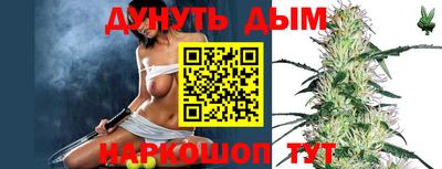шишки Новодвинск