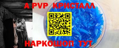 шишки Новодвинск
