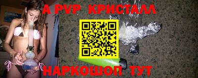 шишки Новодвинск