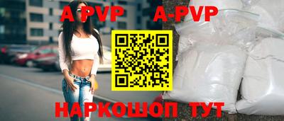 шишки Новодвинск