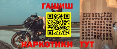 молекула духа Новозыбков