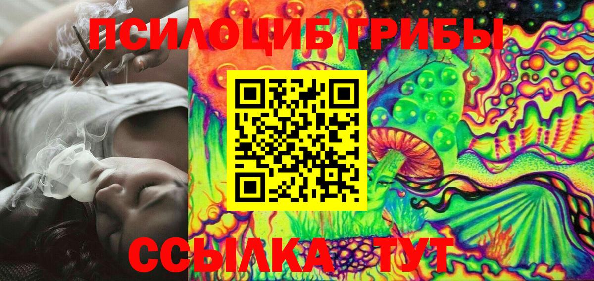 Галлюциногенные грибы Psilocybe Туапсе